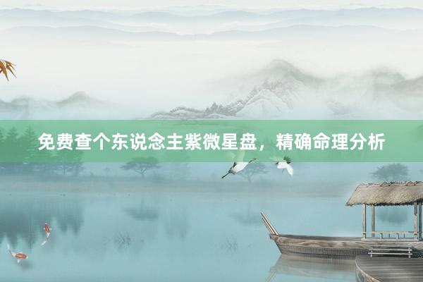 免费查个东说念主紫微星盘，精确命理分析